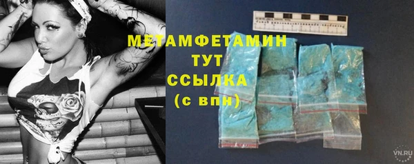 шишки Инсар