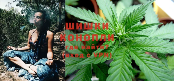 крисы Инта