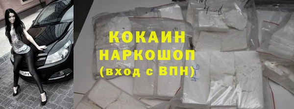 шишки Инсар