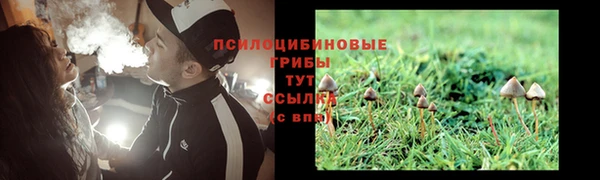 скорость Зеленодольск