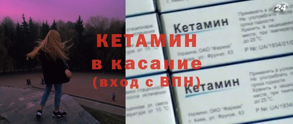 крисы Инта