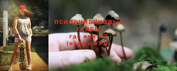 скорость Зеленодольск
