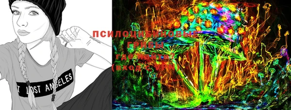 гидропоника Зеленокумск