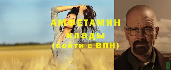 крисы Инта