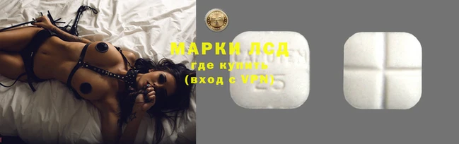 шишки Инсар