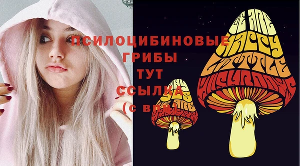 скорость Зеленодольск