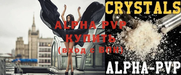 крисы Инта