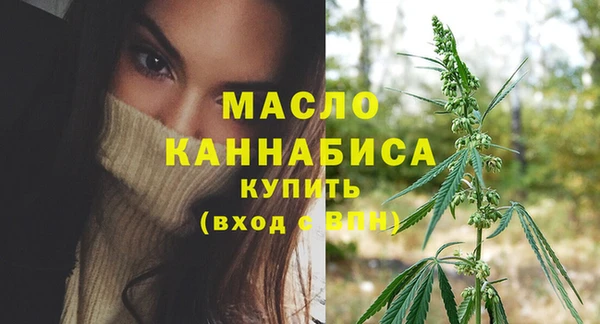 шишки Инсар