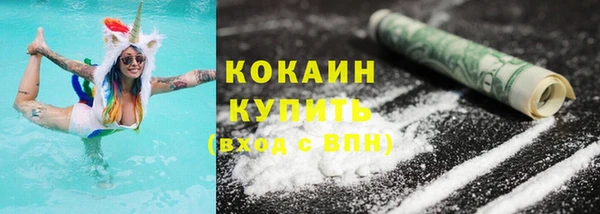 крисы Инта