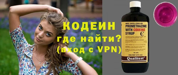 крисы Инта