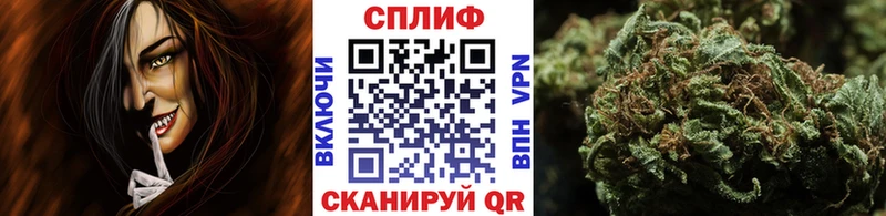 Купить где Зея Конопля гибрид